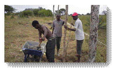 l'entourage du potager