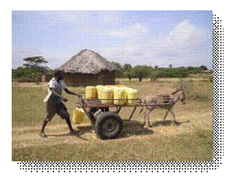 job local( distributeur d'eau)